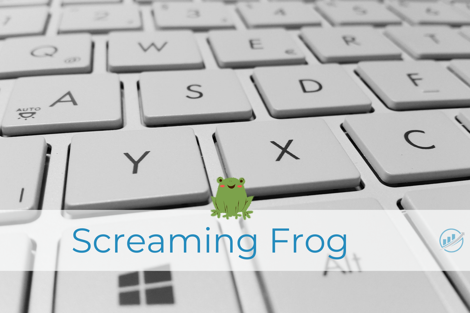 Screaming Frog