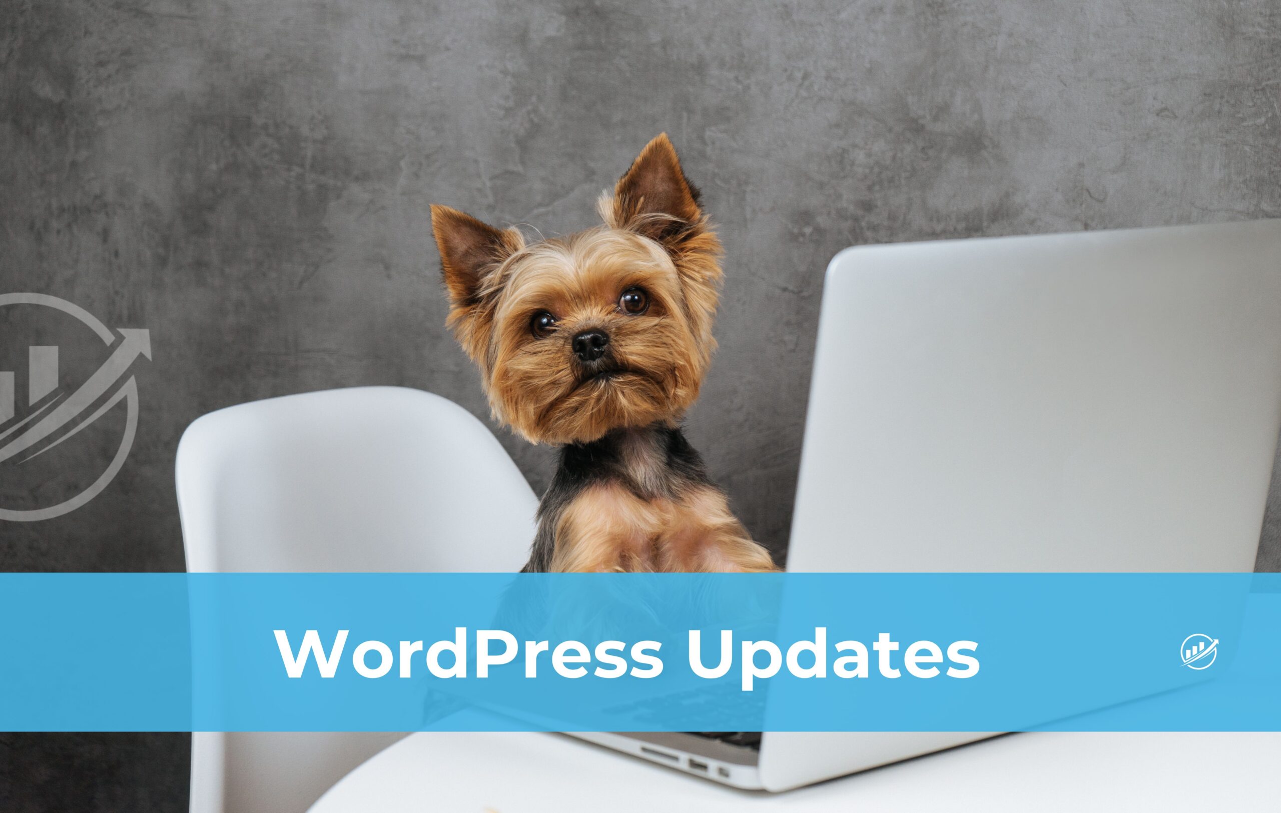 WordPress Updates